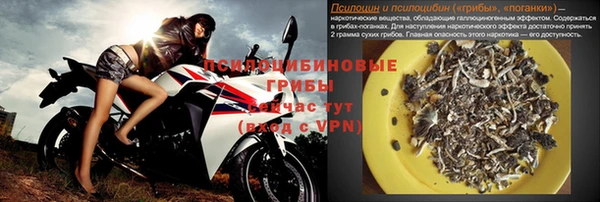 мяу мяу мука Арсеньев